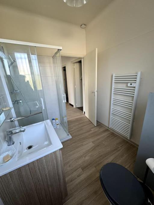 Appartement Sabatier T4 Avec Terrasse Et Jardin การ์กาซอน ภายนอก รูปภาพ